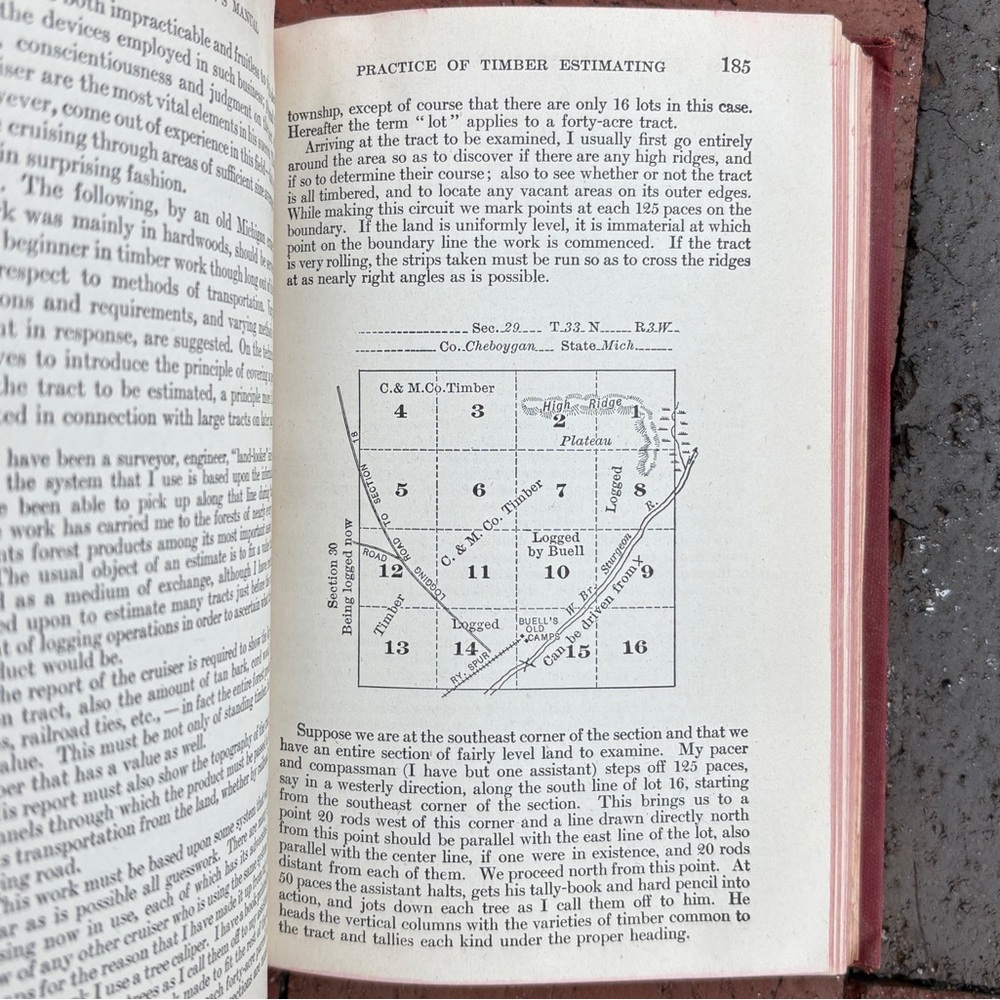 1947 Woodsman’s Manual Austin Cary Woodcutter Arborist Lumberjack Wood Timber - Picture 8 of 13
